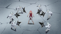 Shins surround Sakura