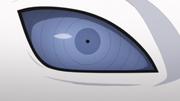 Urashiki Mavi Rinnegan