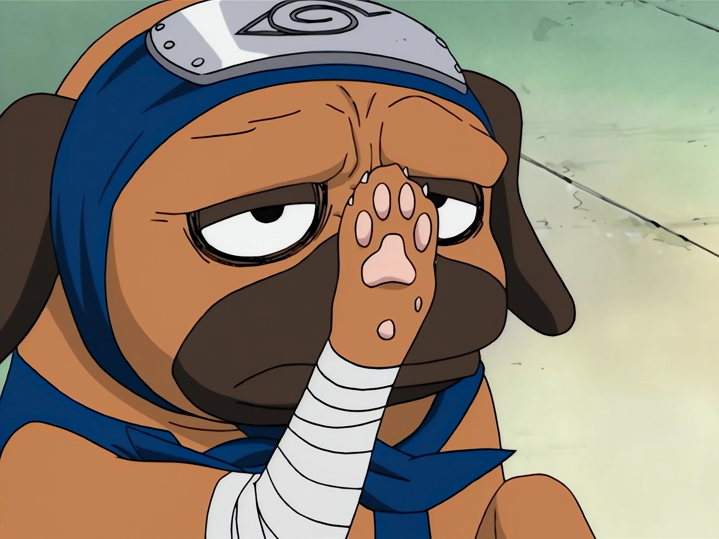 Image - Pakkun's paw.png | Narutopedia | FANDOM powered by Wikia