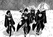 Hawk team