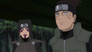 Hoheto usando Byakugan