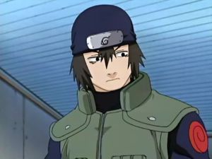 300px-Hayate