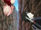 Sai passes a Falling Sakura
