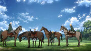 Horses