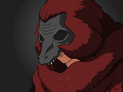 Robe wikia