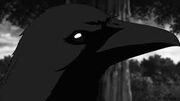 Shunkan's Crows