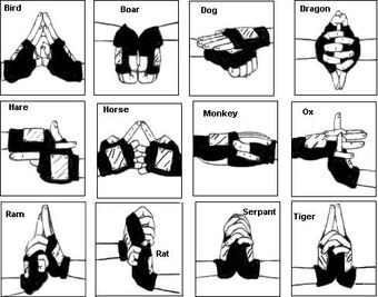 Advanced Shadow Manipulation Jutsu Naruto Fanon Wiki Fandom