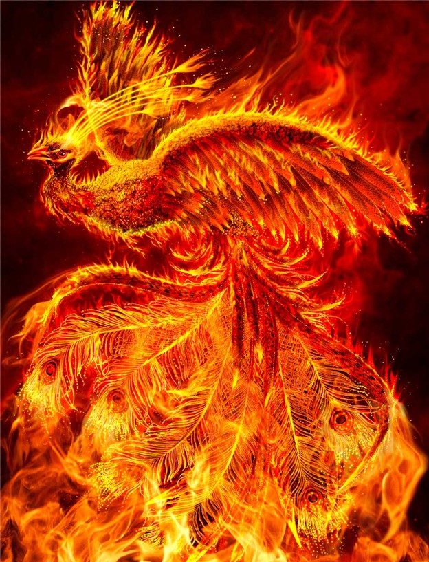 Phoenix Reborn Phoenix Reborn