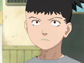 Shikaru Sello maldito