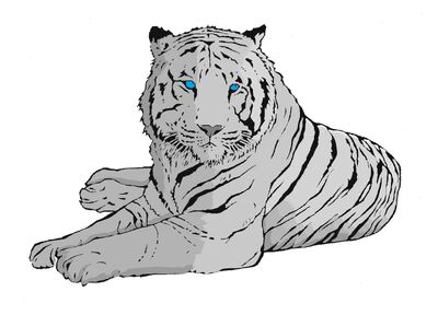 Tigres