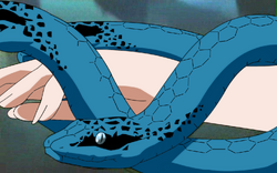 Sen