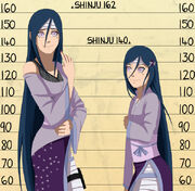 Cm shinju height chart by chloeeh-d4gzkhs