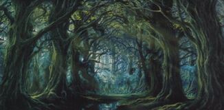 Fangorn Forest