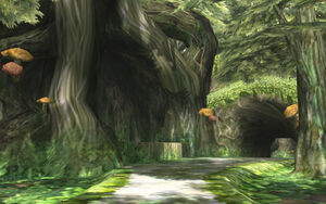 Fowpathways