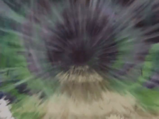 Datei:Fuuton Daitoppa.png