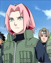 Sakura en la 4