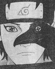 El mangekyo sharingan de shisui en el ojo del cuervo de itachi
