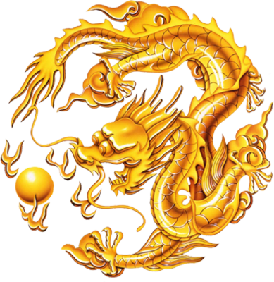 Golden Dragon Seal | Naruto ~ The Ones | FANDOM powered by Wikia