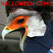 Halloween Demo Birdy