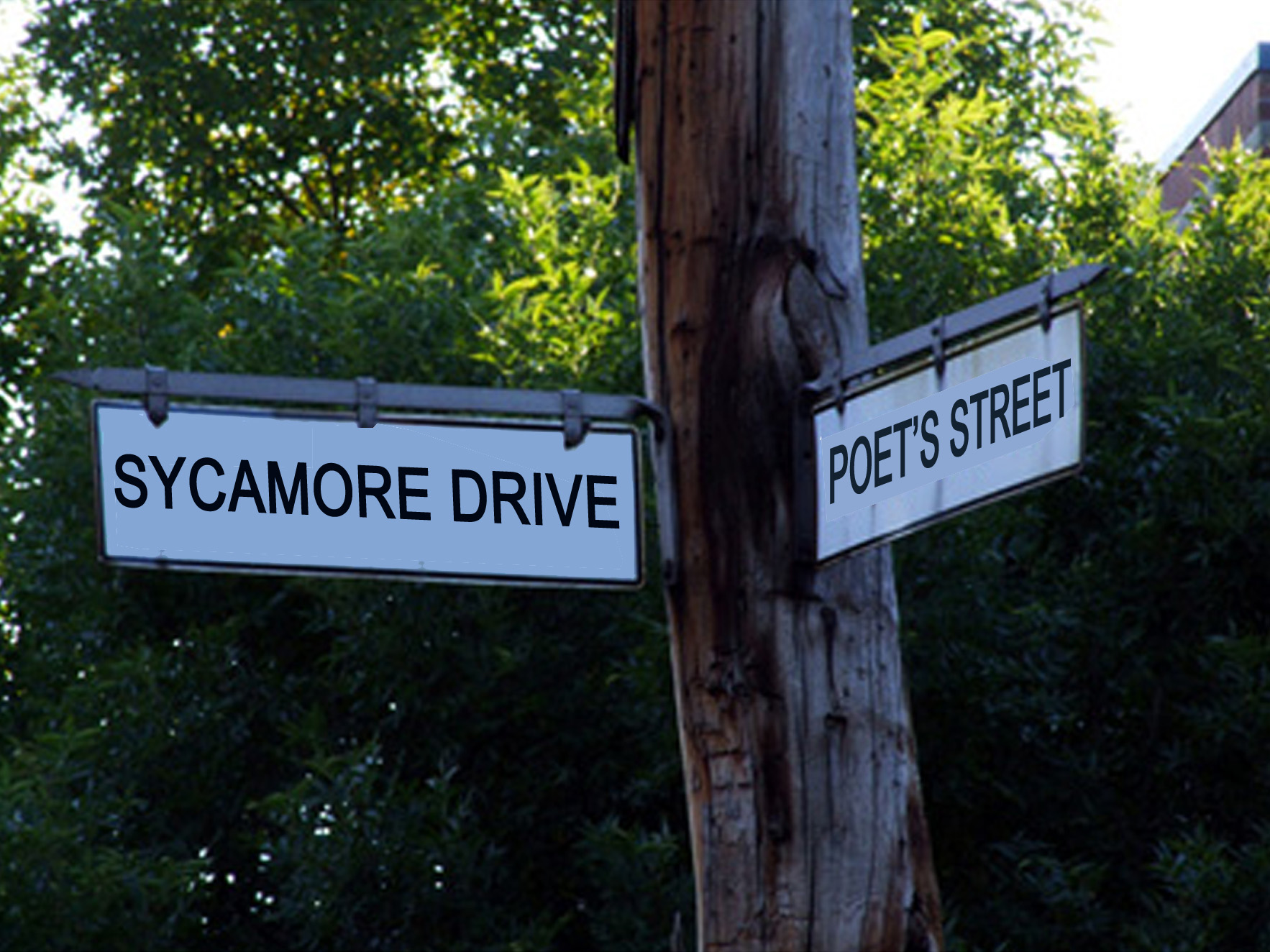 random-street-names-street-name-generator