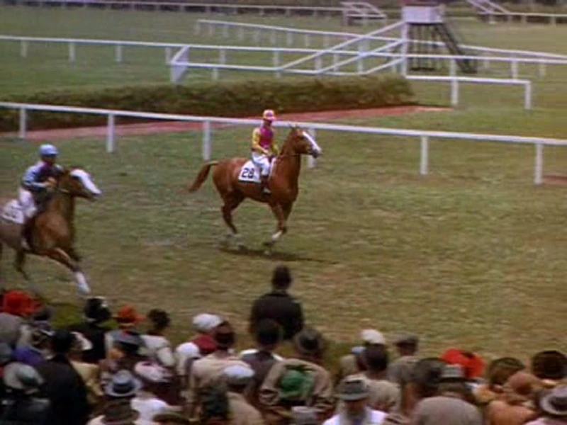 The Pie National Velvet Wiki FANDOM powered by Wikia