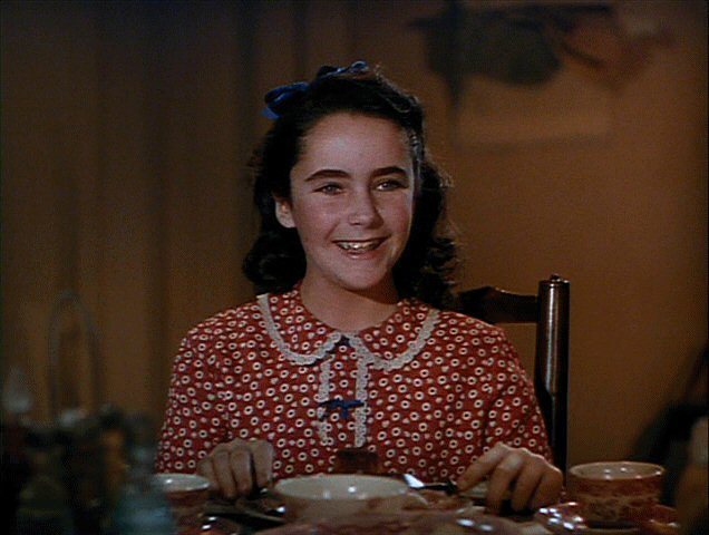 Velvet Brown | National Velvet Wiki | FANDOM powered by Wikia