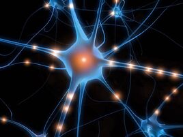 NeuralPathways