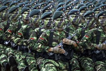 International Military Guide Nation Creation Wiki Fandom - er estonia army top roblox