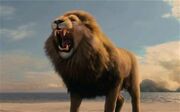 Aslan 1778040c