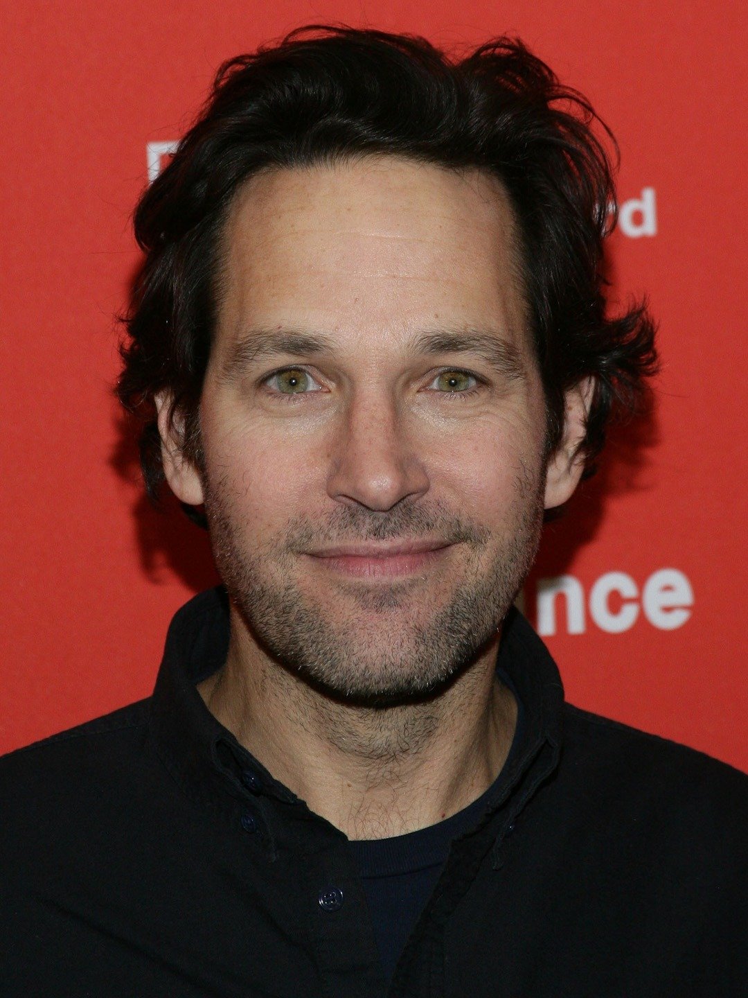 Paul Rudd | Night At The Museum Wiki | Fandom