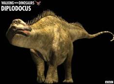 Diplodocus