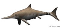 NTichthyosaurus
