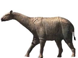 Indricotherium