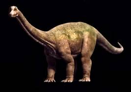 Saltasaurus