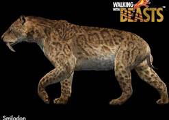 Smilodon