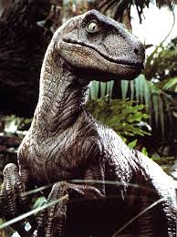 Velociraptor