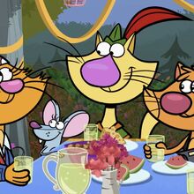 Nature Cat Character Nature Cat Wikia Fandom