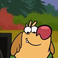 Dog Gone Nature Cat Wikia Fandom
