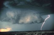 Wallcloud lightning