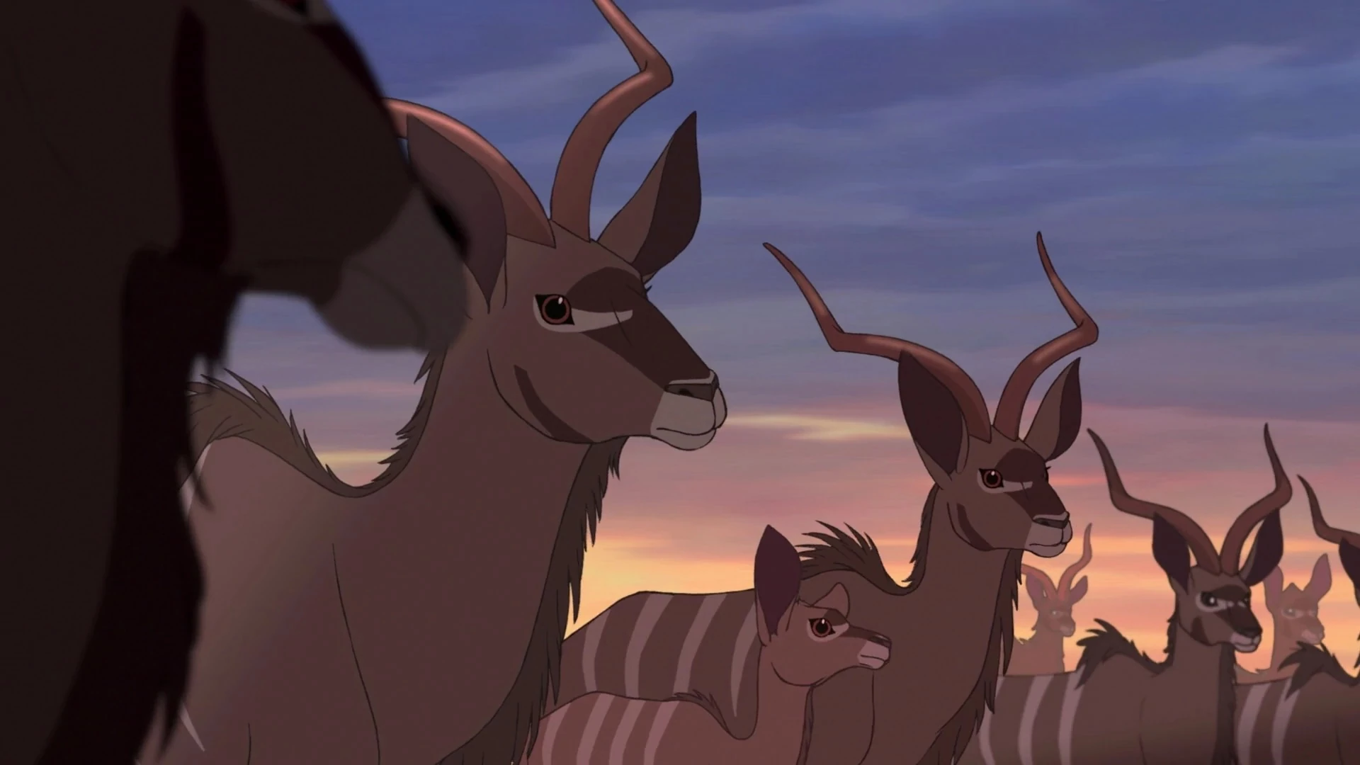 Category:Antelope | NatureRules1 Wiki | Fandom