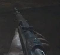 PaP Kar98