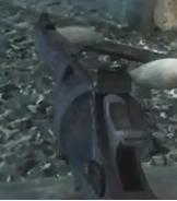 PaP .357