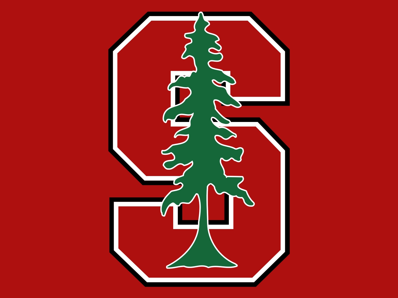 Stanford Cardinal | NCAA Athletics Wiki | Fandom