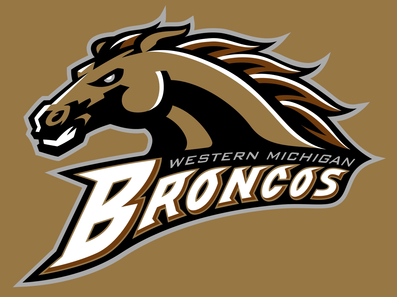 western michigan football blogo