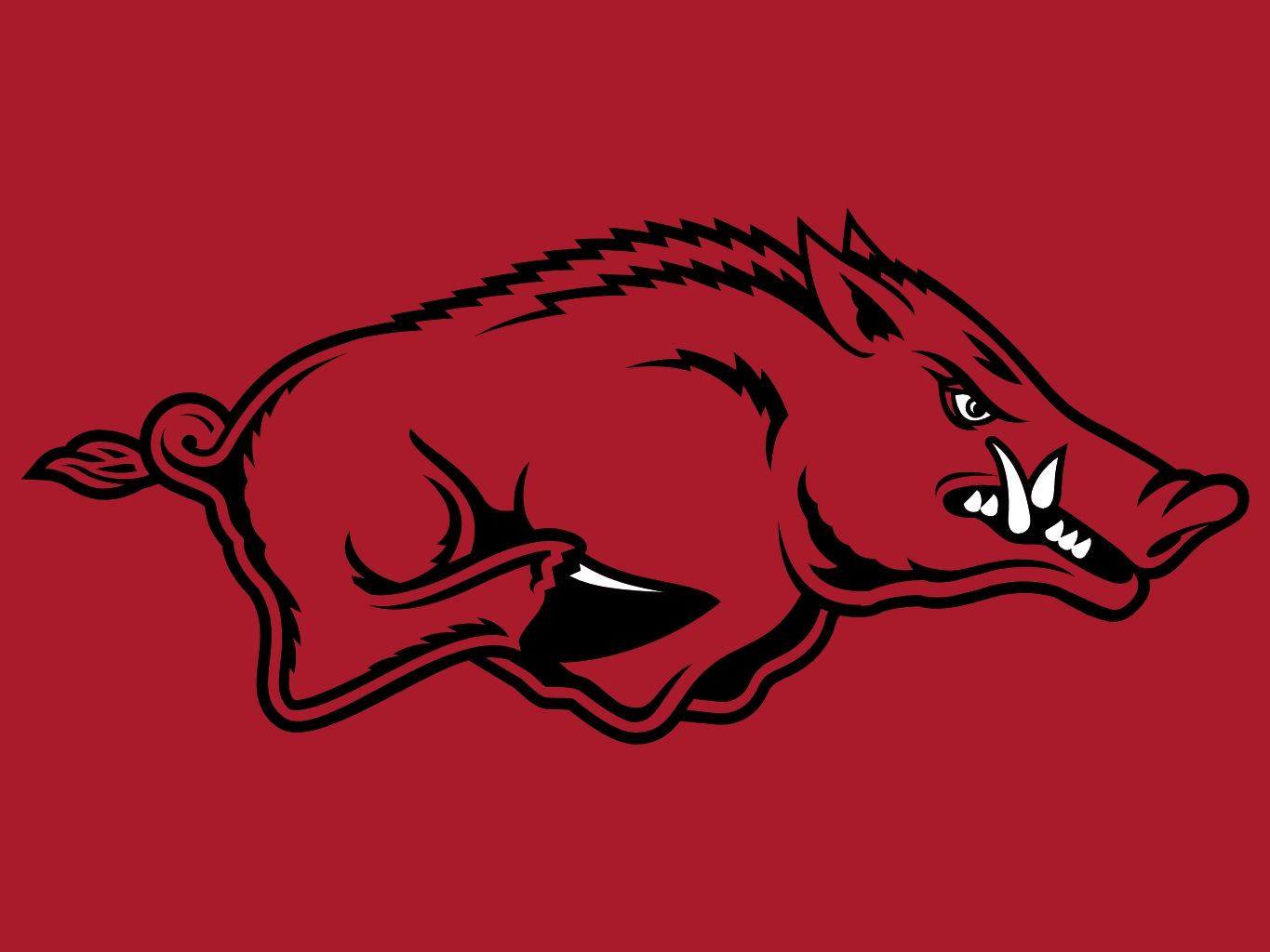 arkansas razorbacks ncaa football