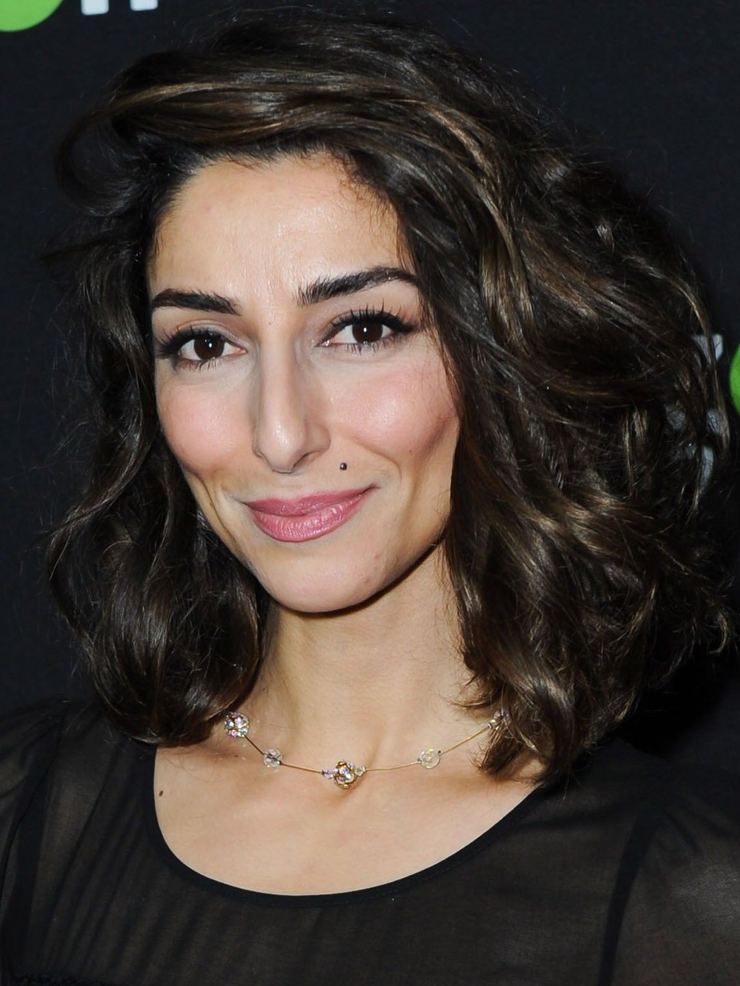 Next photo of Necar Zadegan