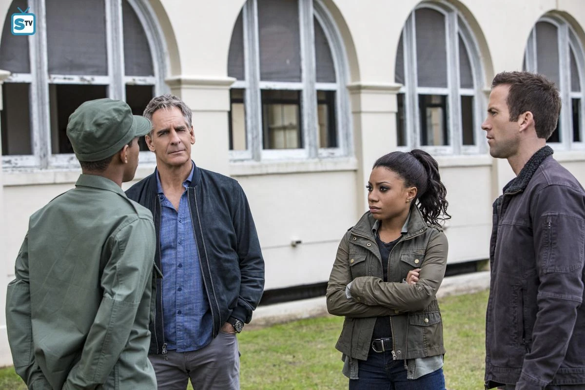 Image 316 NOLA 9.jpeg Wiki NCIS FANDOM powered by Wikia