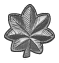05-Lieutenant Colonel