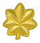 04-Major