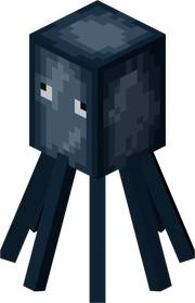 Squid